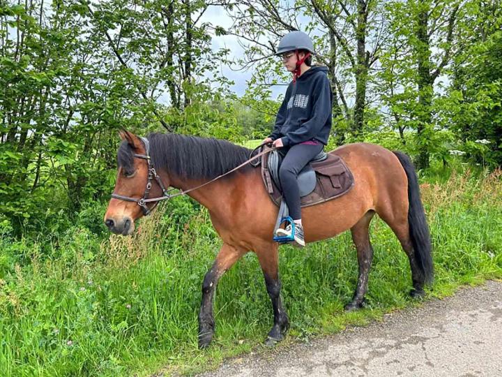 Quelles sont les meilleures saisons pour une balade à cheval ? Vitré
