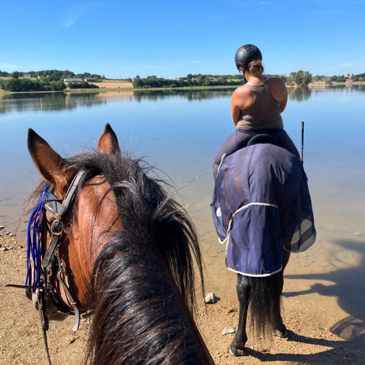 Randonnée à cheval Vitré