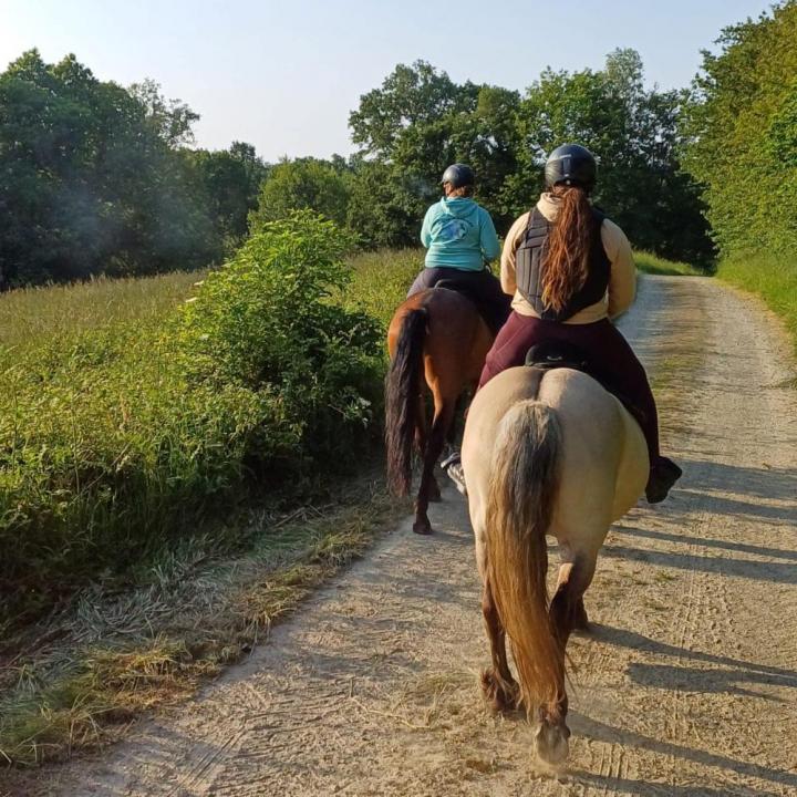 Balade à cheval Vitré