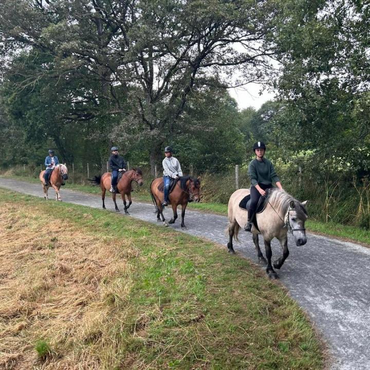Balade à cheval Vitré
