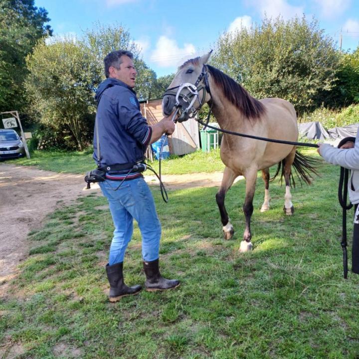 Randonnée équestre Vitré