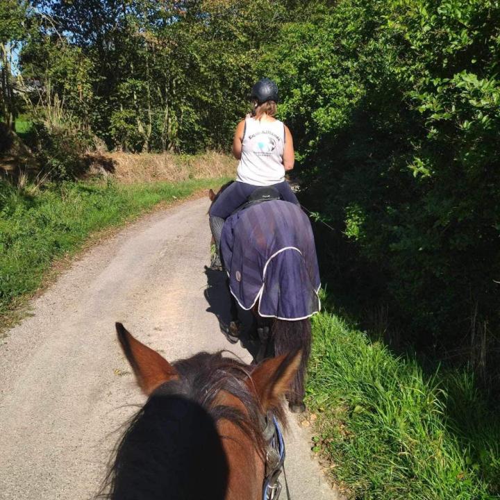 Randonnée équestre Vitré