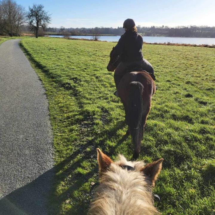 Randonnée équestre Vitré