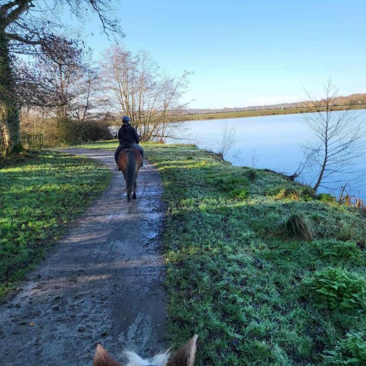 Balade à cheval Vitré