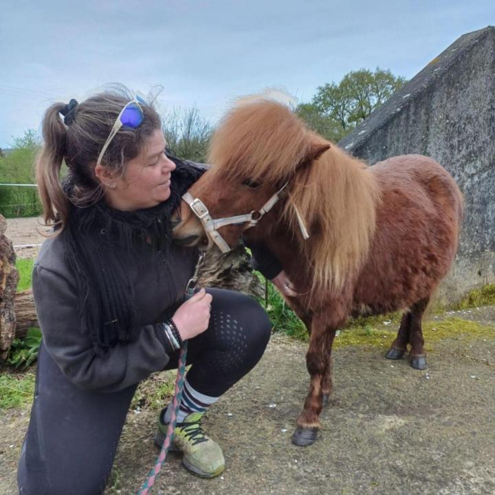 Balade équestre Vitré