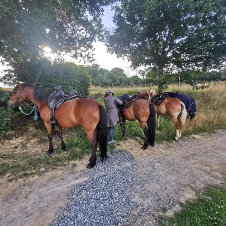 Randonnée à cheval Vitré