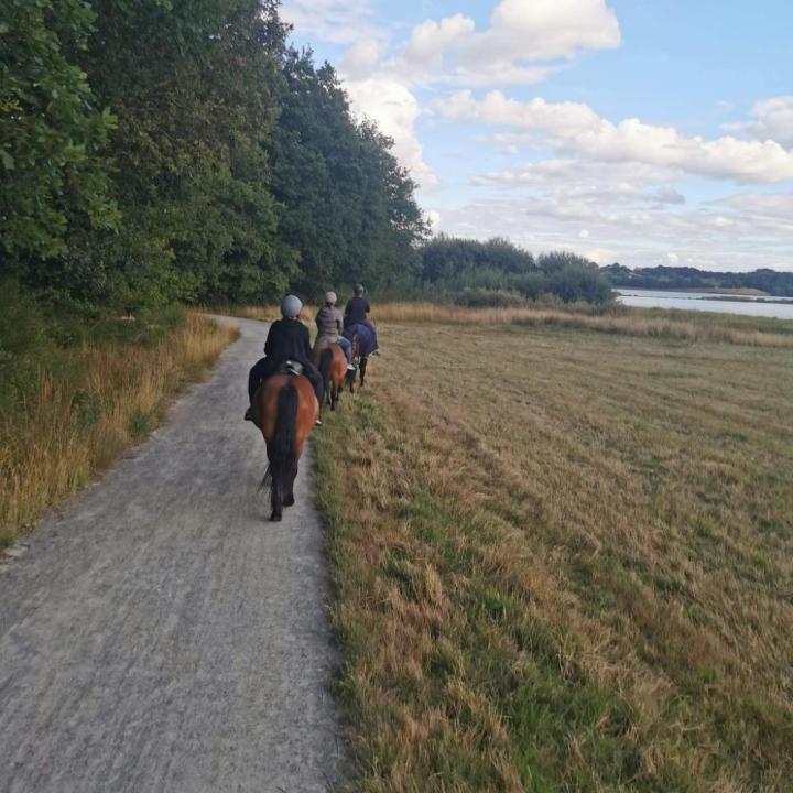 Balade à cheval Vitré