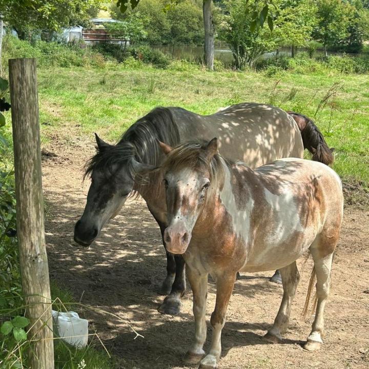  Balade équestre Vitré
