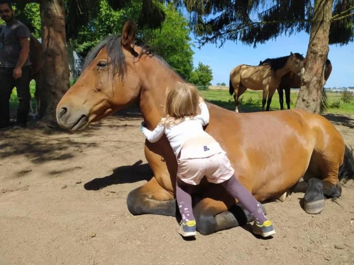 Balade à cheval Vitré