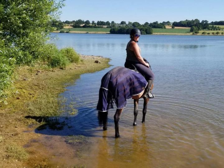 Balade à cheval Vitré